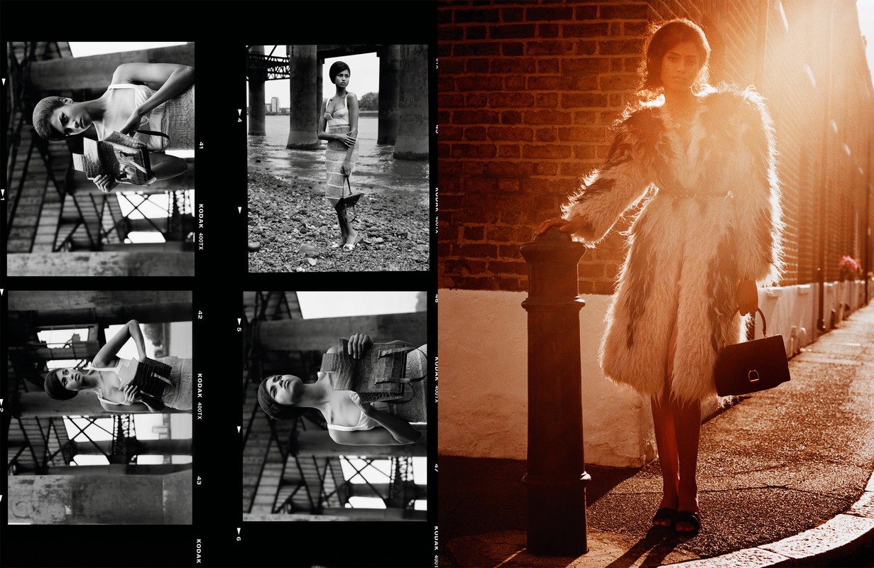 www dnamodels com