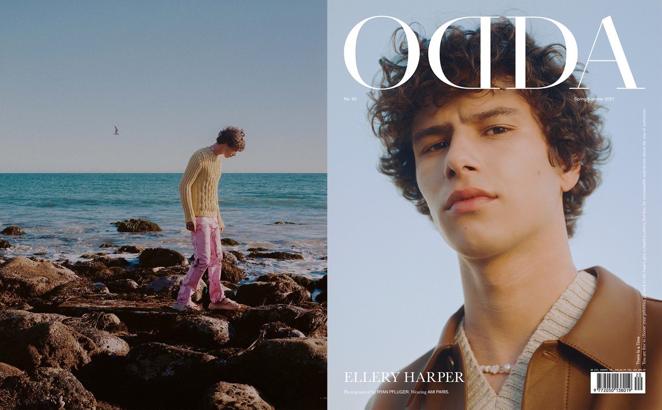 www dnamodels com
