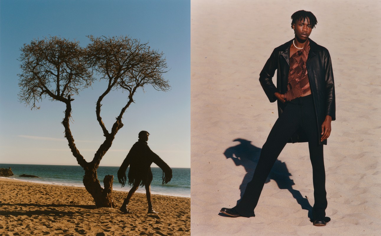 www dnamodels com
