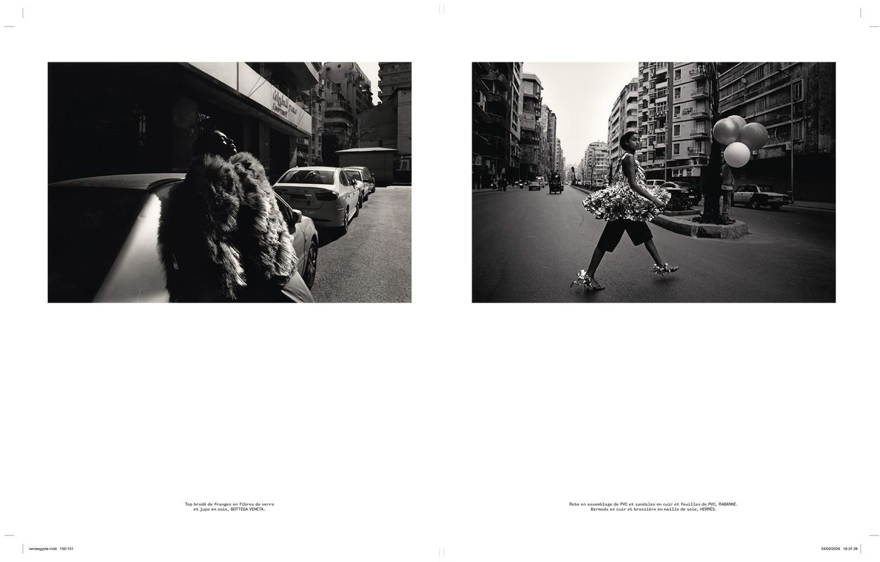 Vincent Van De Wijngaard