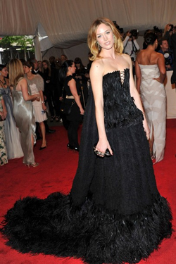 RZ.MetBall.May2011.jpg